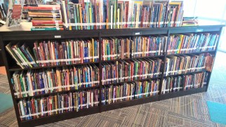 Brookland Middle School overflowing (credit: P. MacPherson)