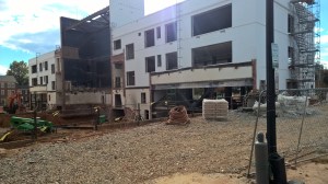 photo: P. MacPherson, 10/2015