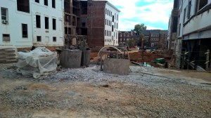 photo: P. MacPherson 10, 2105