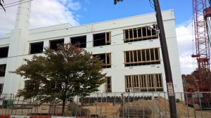 photo: Peter MacPherson, 10/2105